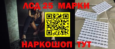 стафф Донецк