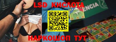 стафф Донецк