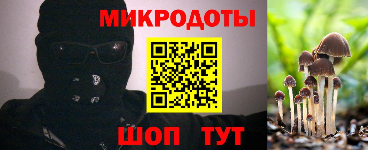Нальчик  Галлюциногенные грибы Psilocybine cubensis  Вход с VPN 
