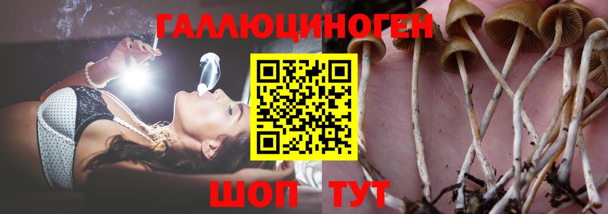 Псилоцибиновые грибы Magic Shrooms Нальчик